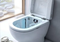 智能马桶使用时，需不需要放马桶垫？